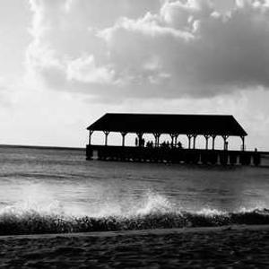 miami 1688 แจ้งเตือนแบบเรียลไทม์ ทันทีทันใด